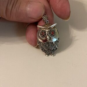 Sterling Silver Owl Pendant with Red Ruby Eyes Necklace 18”